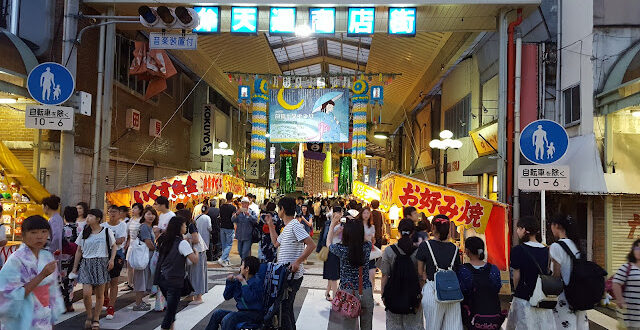 Keindahan Evening Primrose saat di Jepang