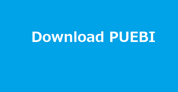 Download PUEBI