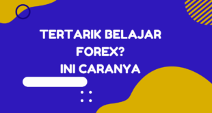 Tertarik dengan Forex? Coba akun trading mini