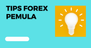 Tips Forex untuk Pemula